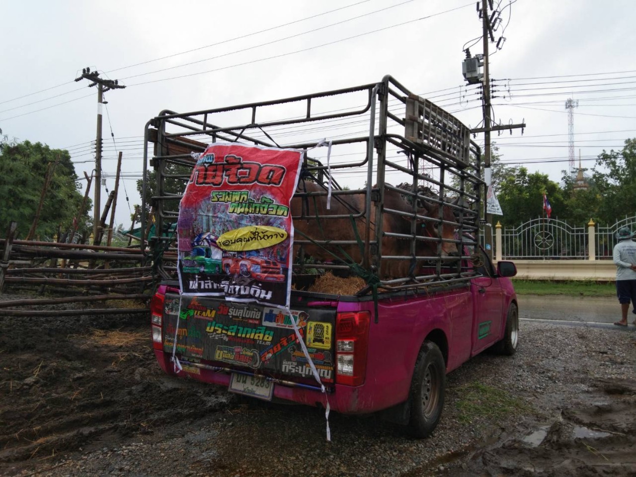 รถขนของส่งทั่วประเทศ - กิตติยา 1990 ทรานสปอร์ต 16